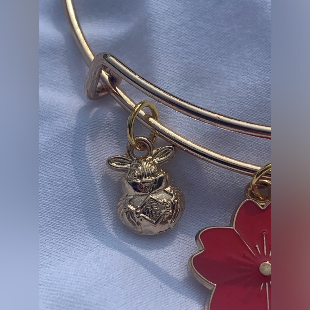 Brand New! Handmade! Adjustable Charm Bracelet - Picture 7 of 9